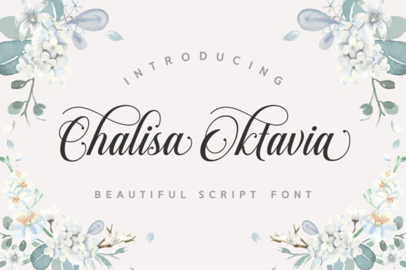 Chalisa Oktavia: The Elegant Script Font for Boutique Branding