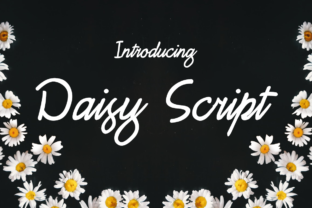 Daisy Script: A Stylish Free Font for Elegant Web Design