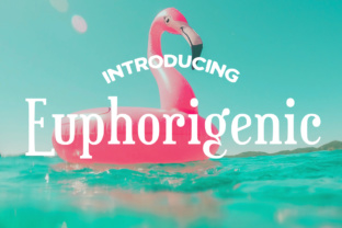 Euphorigenic: The Playful Slab-Serif Headline Font for Luxe Digital Design