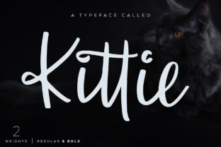 Kittie Handwritten Script Font Review for Crafters