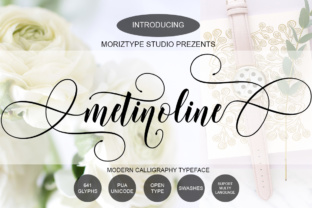 Metinoline Script: The Ultimate Typeface for Scroll-Stopping Digital Campaigns
