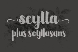Scylla Bold Script Font for Digital Branding