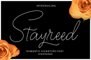 Stayreed Calligraphy Font for Elegant Business Branding