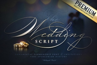 Wedding Script: The Elegant Typeface for Scroll-Stopping Visuals